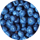 0c61ff6e571656694254c46cb15d913ba2f3274e 140x140