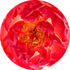25dbd81a12eae9132260de7653b9c1e321a90a2f 140x140