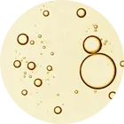 8e73151ef876ca3b9507a89c1fc18524ce3d85ec 140x140
