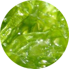 Adabd723b2f3aa762ee5720adaa00ed7261d4ed5 140x140
